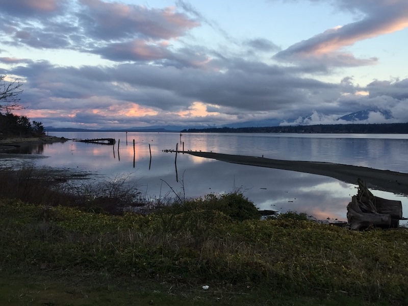 Photo of Comox Estuary by Ray St. Denis