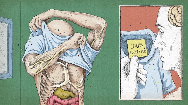 Illustration of where microplastics could contaminate the body